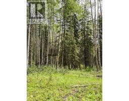 10504 794 Township, Rural Saddle Hills County, AB T0H3G0 Photo 31