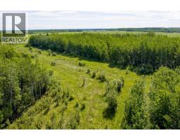 10504 794 Township, Rural Saddle Hills County, AB T0H3G0 Photo 46