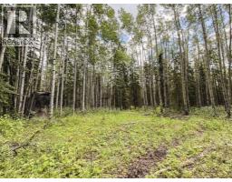 10504 794 Township, Rural Saddle Hills County, AB T0H3G0 Photo 33
