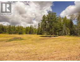 10504 794 Township, Rural Saddle Hills County, AB T0H3G0 Photo 29