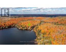256 Tahinca Road, Whitestone, ON P0A1G0 Photo 46