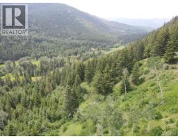 Lot 8 Fadear Creek Road, Kamloops, BC V0E2E0 Photo 8