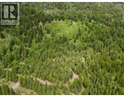 Lot 8 Fadear Creek Road, Kamloops, BC V0E2E0 Photo 10