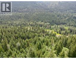 Lot 8 Fadear Creek Road, Kamloops, BC V0E2E0 Photo 11
