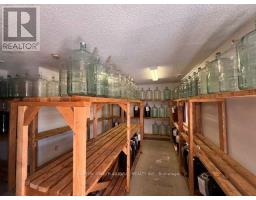 10 York Street, Kawartha Lakes, ON K9V3Z6 Photo 11