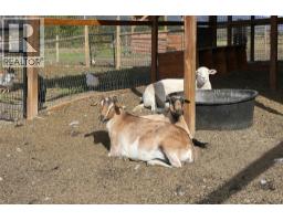 165 Hoovers Ferry Road, Kamloops, BC V0E1Z2 Photo 64
