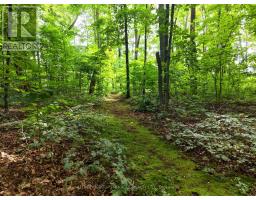 38 Westview Drive, Kawartha Lakes, ON K0L2W0 Photo 42