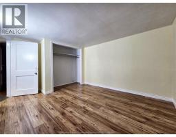 328 John B Avenue, Windsor, ON N9C3G2 Photo 10