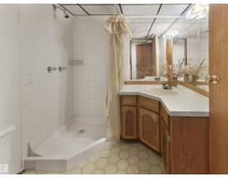 18528 98 Av Nw, Edmonton, AB T5T3J5 Photo 24