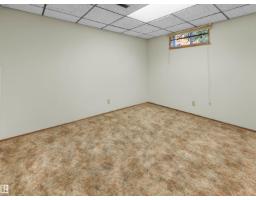 18528 98 Av Nw, Edmonton, AB T5T3J5 Photo 25