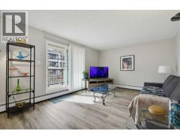 201, 617 56 Avenue Sw, Calgary, AB T2V0G9 Photo 10