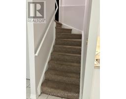 Lower Level - Bsmnt Only - 5243 Heatherleigh Avenue, Mississauga, ON L5V2A1 Photo 7