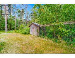 5154 Aurora Road, Whitchurch Stouffville, ON L4A7X4 Photo 32