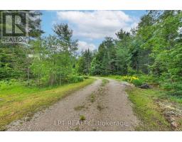 1039 Ben Lake Road E, Gravenhurst, ON P1P1R3 Photo 31