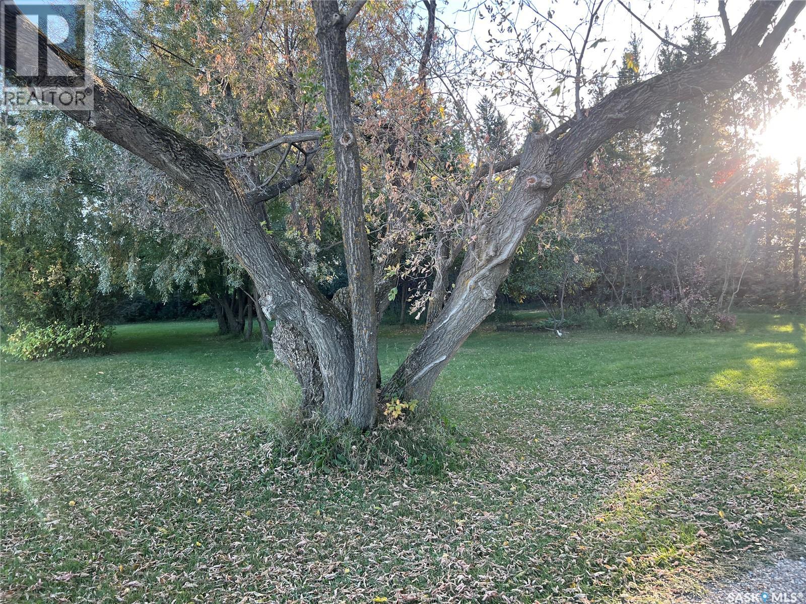 Bildstein Acreage - 41