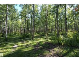 21557 Wye Rd, Rural Strathcona County, AB T8E2J2 Photo 73