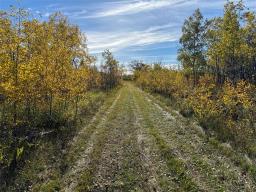 0 111 Road N, Lundar, MB R0C1Y0 Photo 20