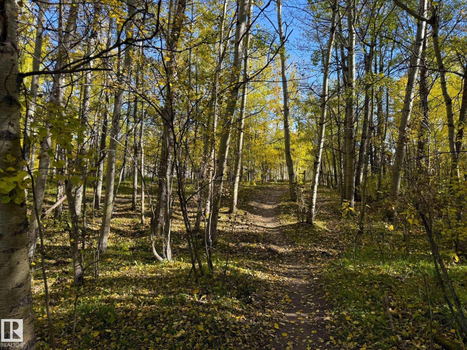 474009 RGE ROAD 10 - Image 55