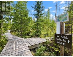 1196 Enterprise Drive, Highlands East, ON K0M2A0 Photo 46
