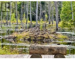 1196 Enterprise Drive, Highlands East, ON K0M2A0 Photo 48