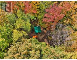 305256 South Line A, Grey Highlands, ON N0C1K0 Photo 40