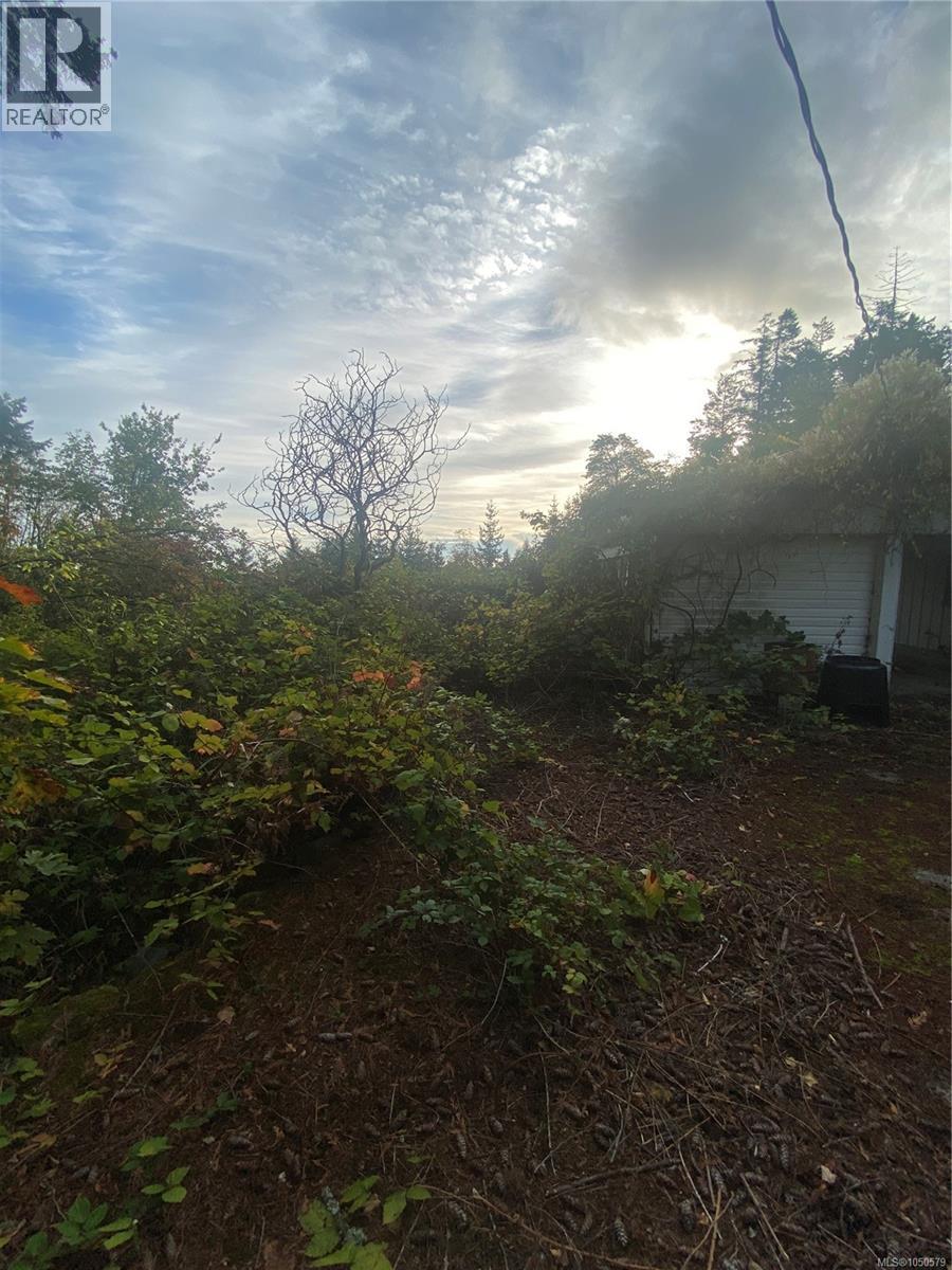 206 King Rd - 6