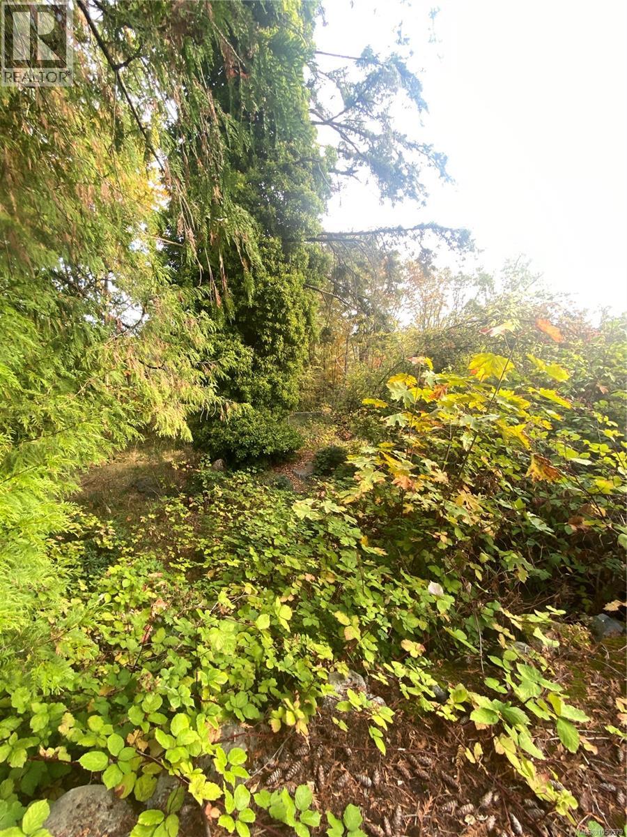 206 King Rd - 7