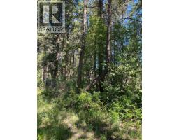 867 Balsam Road, Kelowna, BC V1Z3V8 Photo 8