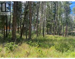 867 Balsam Road, Kelowna, BC V1Z3V8 Photo 15