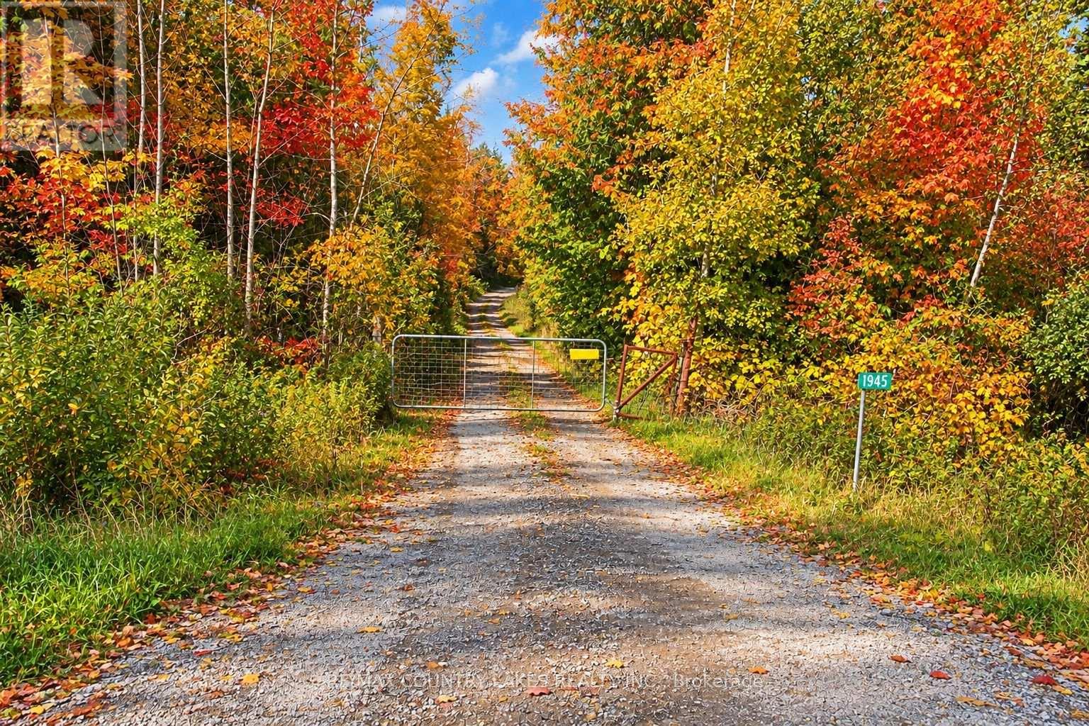 1945 County Road 48, Kawartha Lakes, ON photo 47