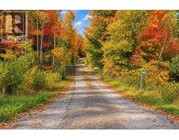 1945 County Road 48, Kawartha Lakes, ON K0M2B0 Photo 47