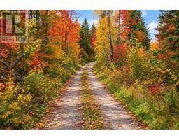 1945 County Road 48, Kawartha Lakes, ON K0M2B0 Photo 48