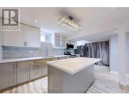 Bsmt - 253 Wilson Road N, Oshawa, ON L1G6E3 Photo 12