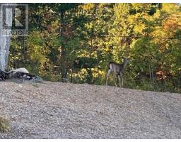 Lot 25 Fire Route, Trent Lakes, ON K0L1J0 Photo 8