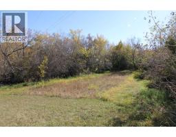 100 1 Avenue, Paradise Hill, SK S0M2G0 Photo 29