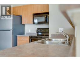 1816, 1053 10 Street SW - photo 11