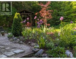 54 Carter Road, Northern Bruce Peninsula, ON N0H1W0 Photo 48