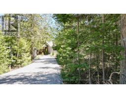 54 Carter Road, Northern Bruce Peninsula, ON N0H1W0 Photo 49