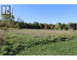 Lot 25 Fire Route 70b, Trent Lakes, ON K0L1J0 Photo 6