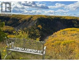 94038b -- 702 Township, Rural Grande Prairie No  1, County Of, AB T0H3S0 Photo 41