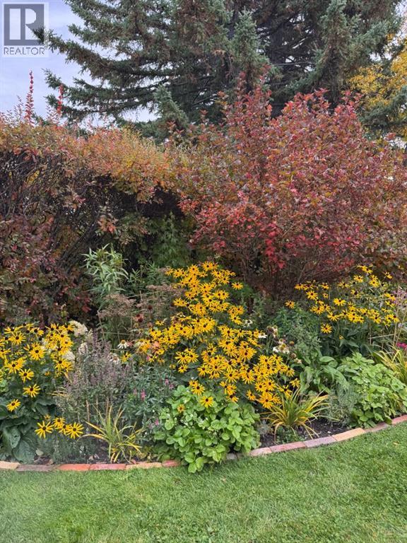 #202 520 Cedar Crescent SW - 41