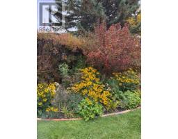 202, 520 Cedar Crescent SW - photo 41