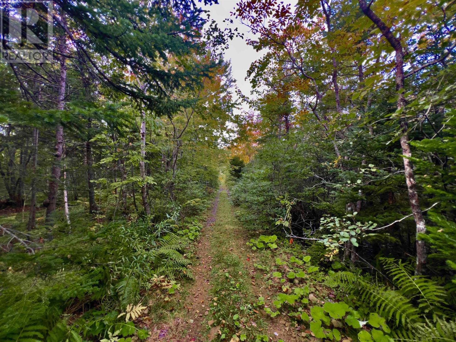 Property 21 of 24 of 2209 Lingan Road Road