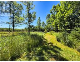 4031 Highway 520 Highway, Magnetawan, ON P0A1C0 Photo 35