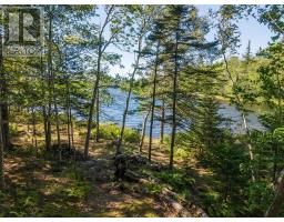 295 Perry Road, Carleton, NS B5A5R2 Photo 10