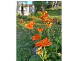 129 Country Road thumbnail 43