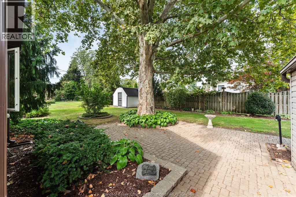 171 MAPLE - Image 10