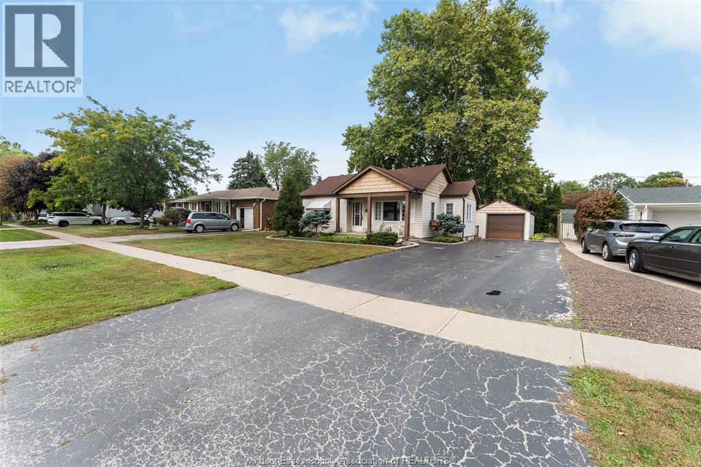 171 MAPLE - Image 4