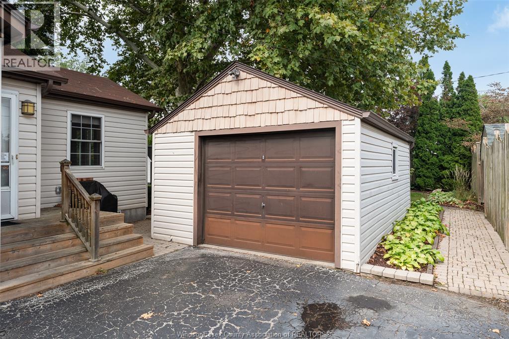 171 MAPLE - 6