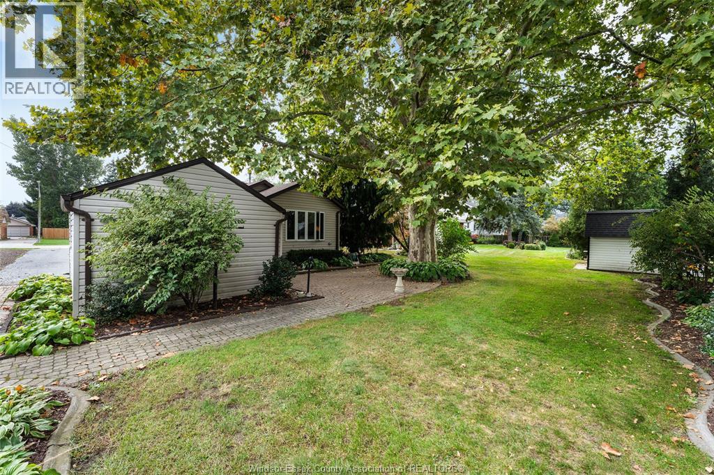 171 MAPLE - Image 8